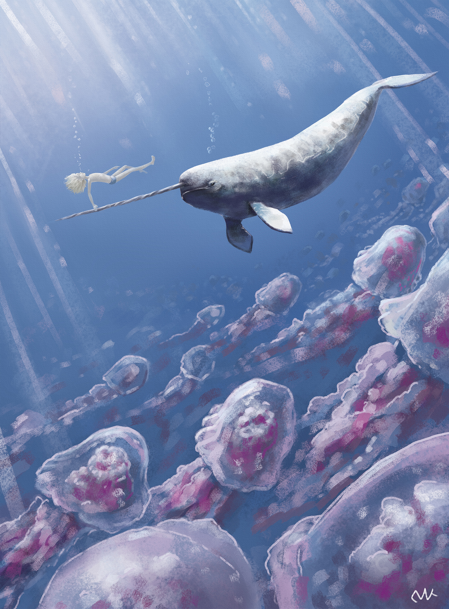 Licorne de Mer - Narval